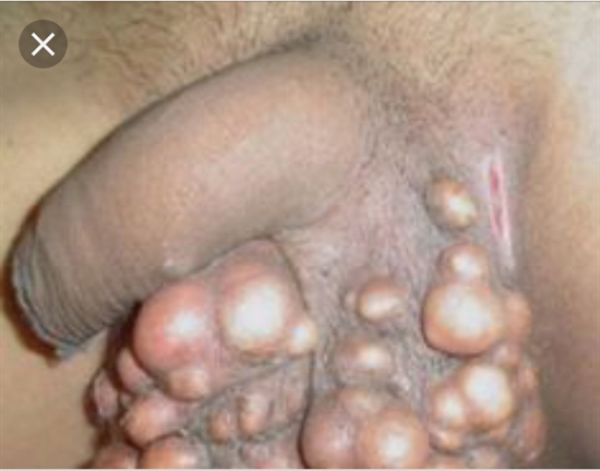 PhDr. Kamila Krychálková Phd.