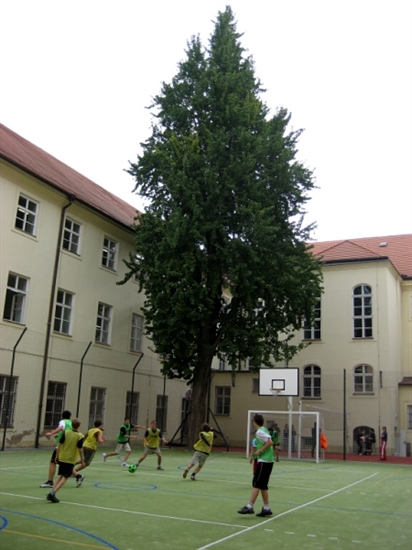 SPŠ sdělovací techniky