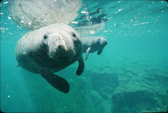 Profilový obrázek učitele