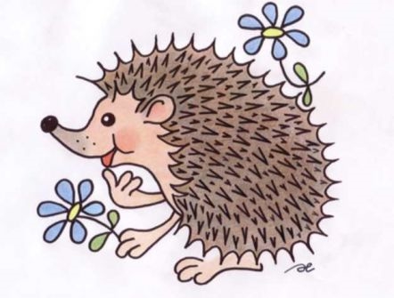 Profilový obrázek učitele