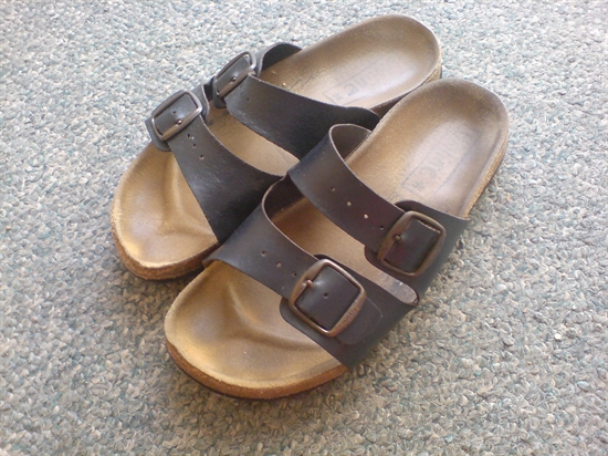 Profilový obrázek učitele