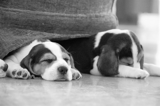 Profilový obrázek učitele