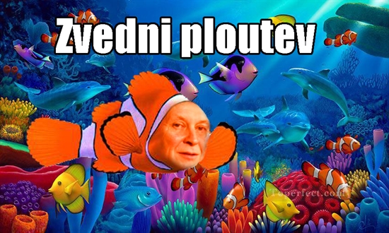Profilový obrázek učitele