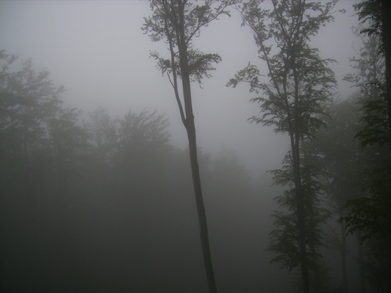 Mgr. Stanislava Julinkova