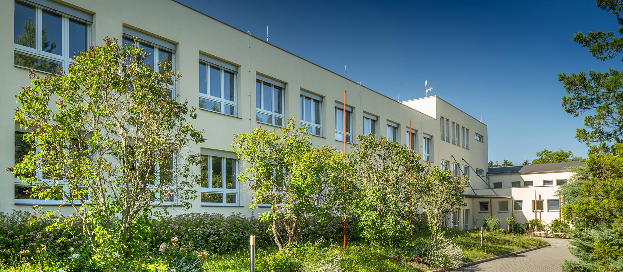 Nová škola