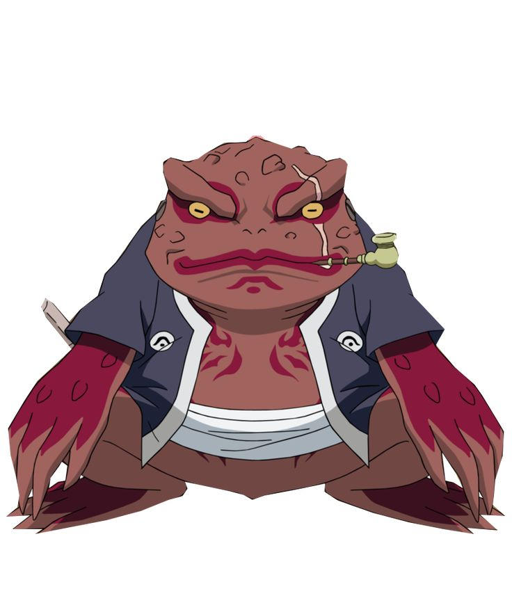 Profilový obrázek učitele