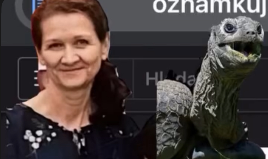 Kateřina Bucharová