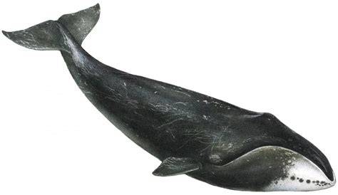 Profilový obrázek učitele