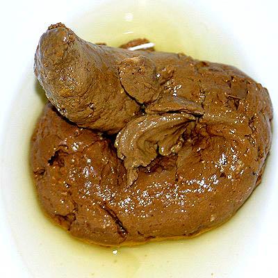 Profilový obrázek učitele