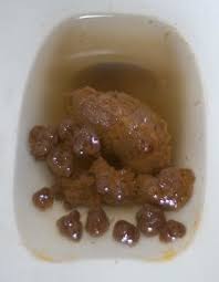 Mgr. Andrea Maternová