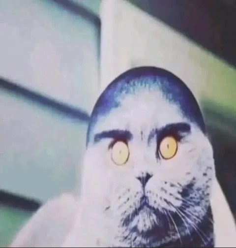 Nový učitel