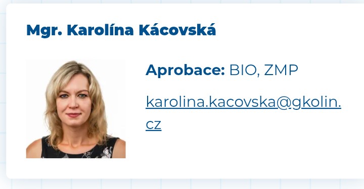 Nový učitel